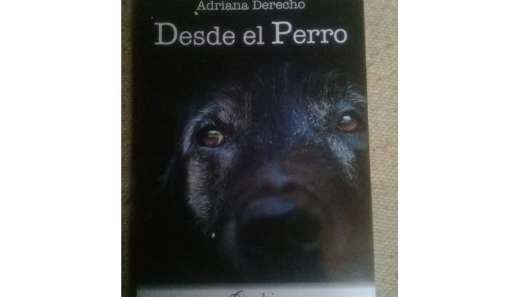 Adriana Derecho:  «Desde el perro» relatos de una veterinaria sanantoniense  