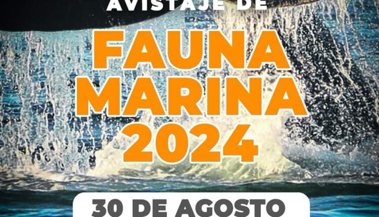 Inicia la Temporada de Avistaje de Fauna Marina 2024 en Las Grutas