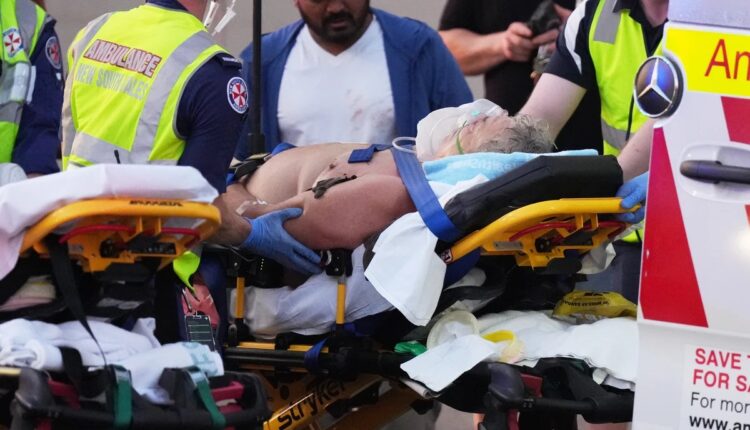 «Ese pequeño y pálido punto azul»