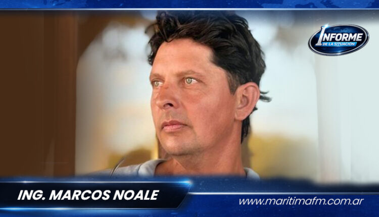 Perros cimarrones atacan ganado en campos cercanos a localidades